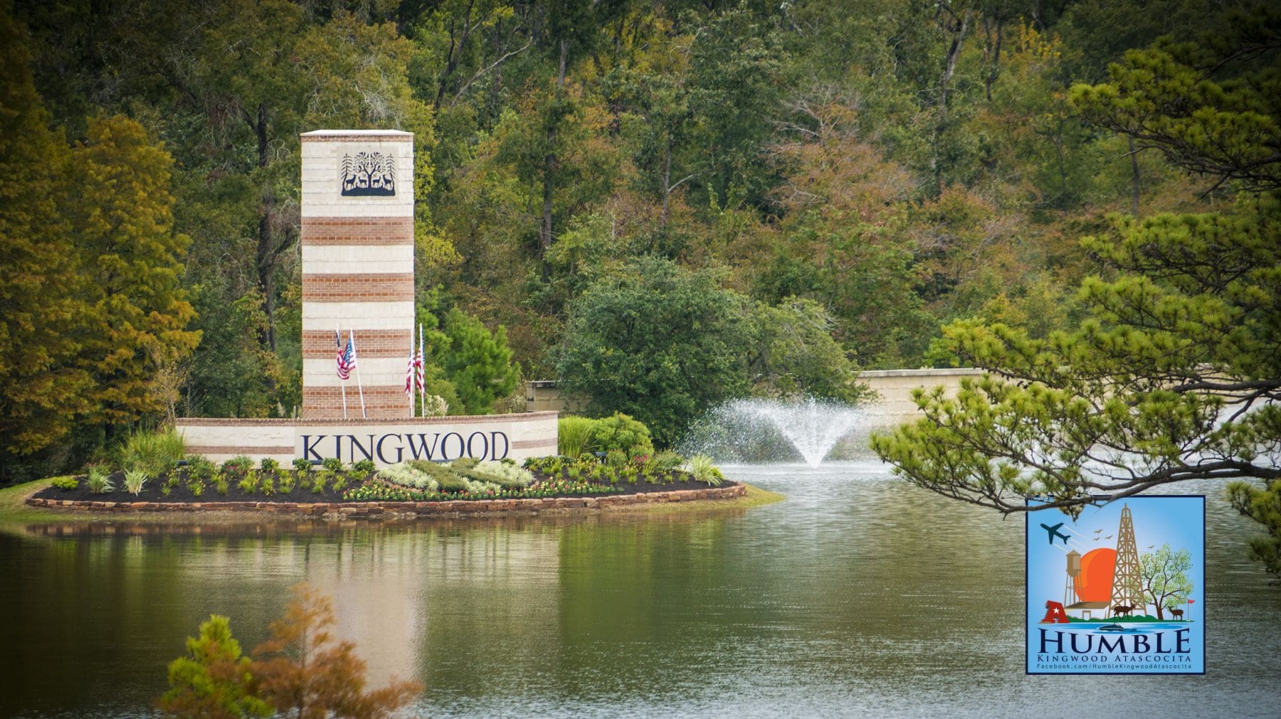 Kingwood Roof Maintenance Tips for Tree-Covered Homes